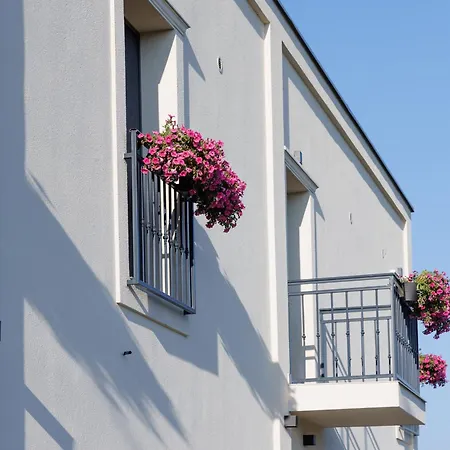 Garni Maggitti * Velika Plana